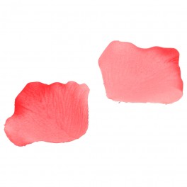 P&eacute;tale de rose