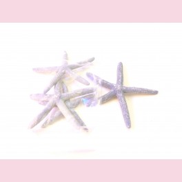 Etoile de mer grise